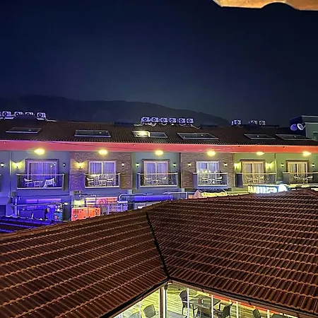Dolphin 酒店