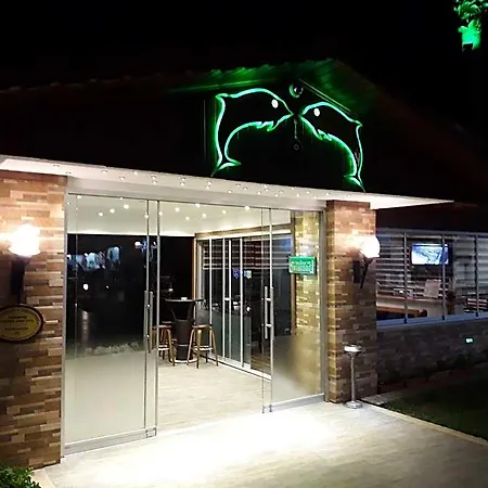 Dolphin 酒店 4*